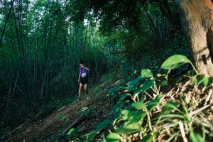 BIB: 
                            <button type="button" onclick="openModal(28123965)" class="btn btn-primary btn-sm float-right btn-popup" data-toggle="modal" data-target=".modal-high-quality">
                        <i class="fas fa-shopping-cart"></i> Add to Cart
                    </button>
                                            <button type="button" onclick="isThisMe(28123965, true)" class="btn btn-success btn-sm float-right btn-popup btn-isme hidden" data-toggle="tooltip" data-placement="bottom" title="นี่คือรูปของคุณใช่ไหม คลิกที่นี่เพื่อเอาเข้าอัลบั้ม">
                        <i class="fas fa-plus"></i> Add to album
                    </button>
                    <button type="button" onclick="isThisMe(28123965, false)" class="btn btn-warning btn-sm float-right btn-popup btn-isnotme hidden">
                        <i class="fas fa-ban"></i> Remove from album
                    </button>